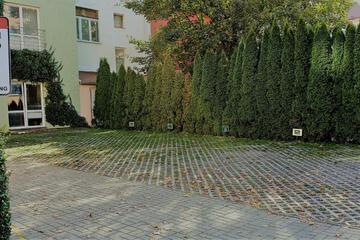 Photo 30