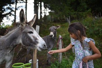 Children's activities