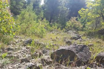 Hiking