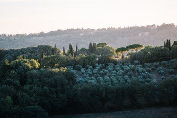 Land view from property