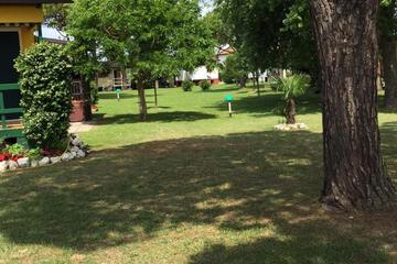 Photo 45