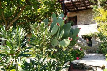 Photo 33