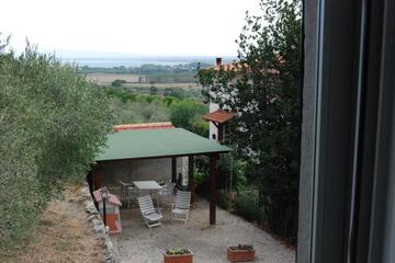Photo 24