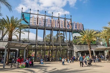 Children's activities