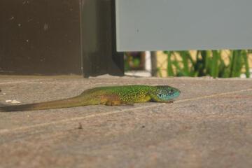 Photo 29