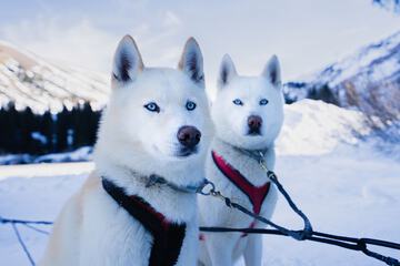 Sledding