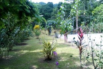 Photo 37