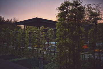 Building design