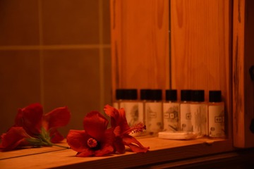 Bathroom amenities