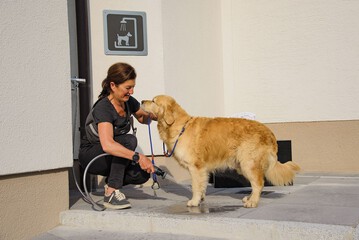 Pet-friendly amenities