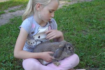 Photo 22
