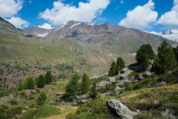 Photo 30