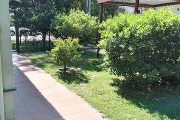 Photo 54