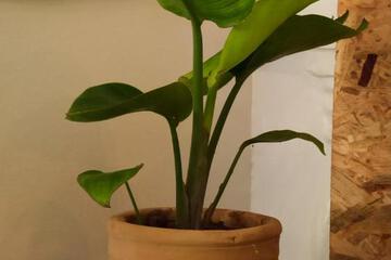 Photo 47