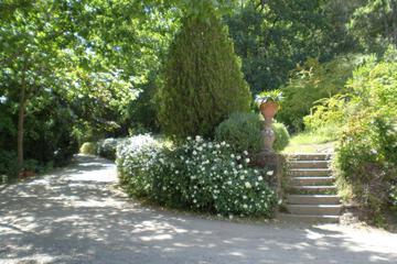 Photo 27