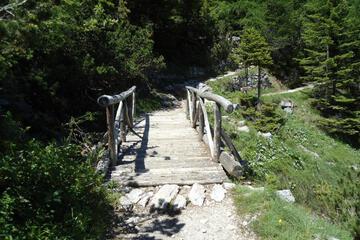 Photo 34