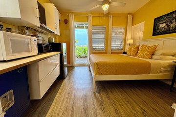 Beach/ocean view