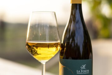 Winery