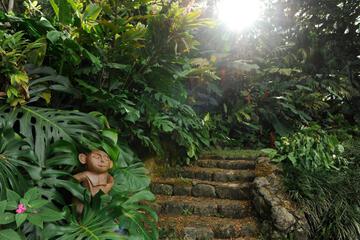 Photo 47