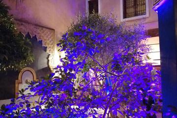Photo 43