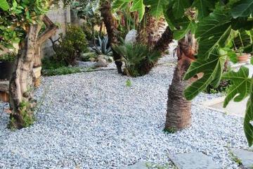 Photo 37