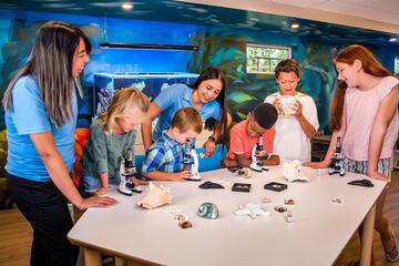 Children's activities