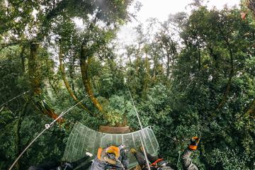 Ziplining