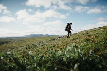 Hiking