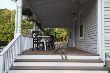 Photo 48
