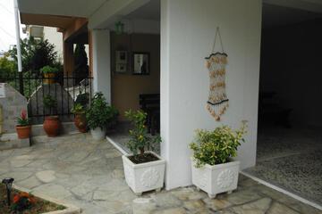 Photo 50