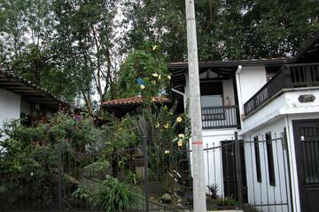 Photo 55