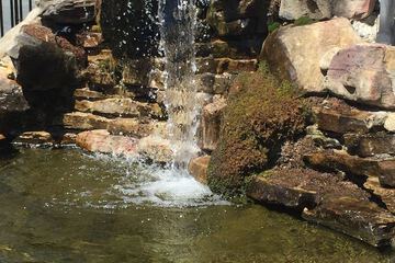 Fountain