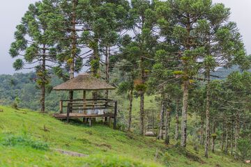 Gazebo