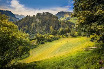 Mountain view