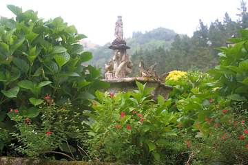 Photo 24