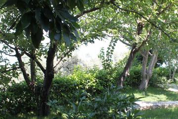 Photo 62