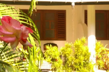 outside