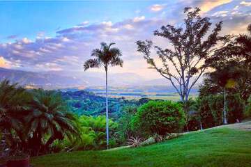 Land view from property
