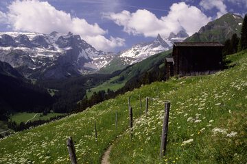 Land view from property