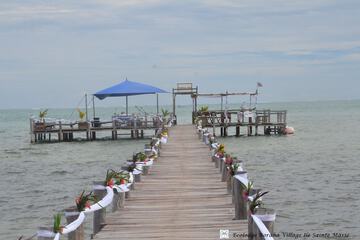 Outdoor wedding area