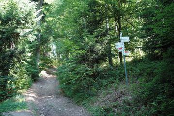 Hiking