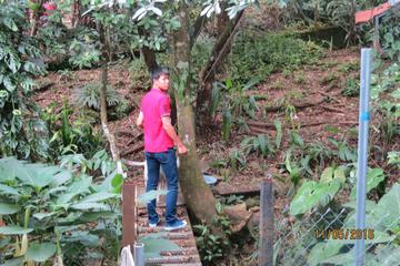 Photo 93