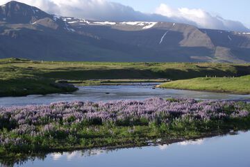 Mountain view