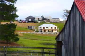 Surrounding environment