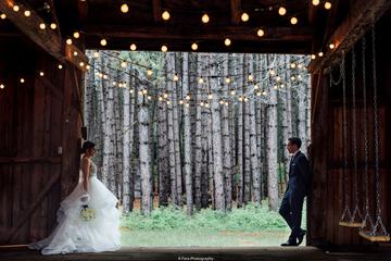 Outdoor wedding area