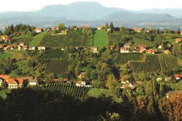 Land view from property
