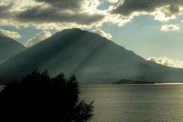 Photo 39