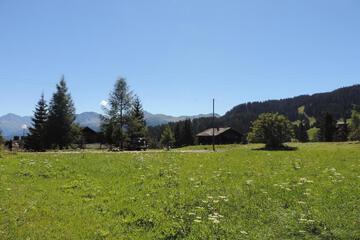 Photo 26