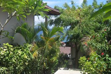 Photo 40