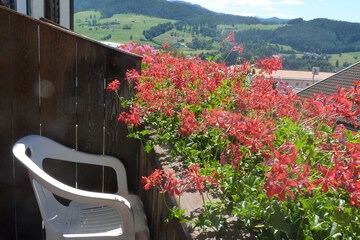 Balcony view